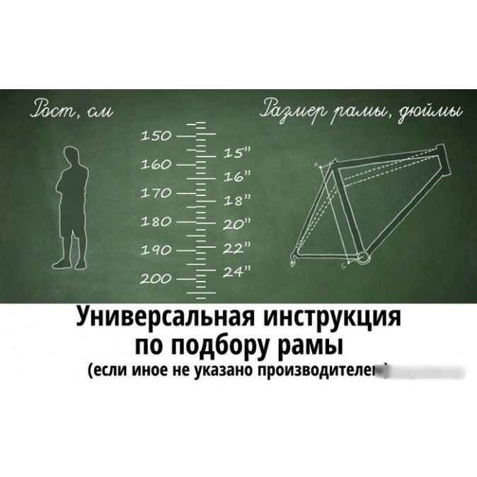 AIST Cross 1.0 р.21 2023 (серый)
