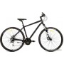 AIST Cross 3.0 р.21 2024