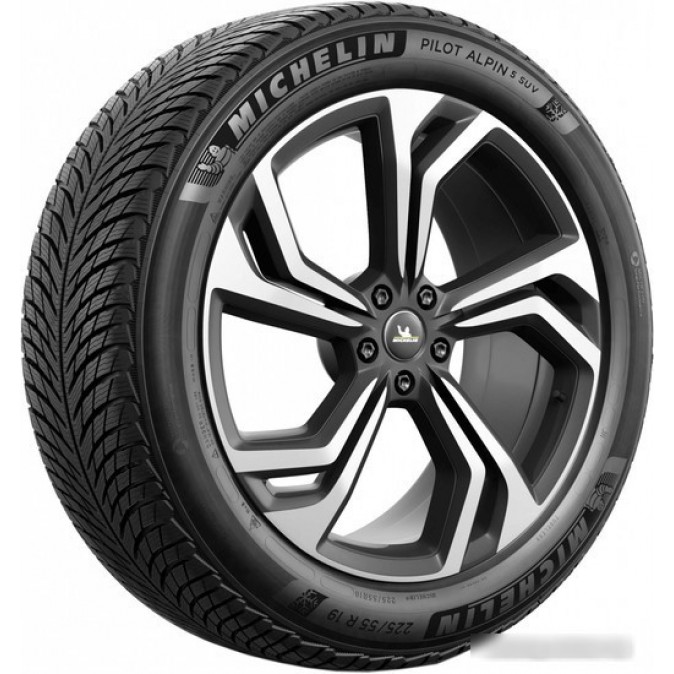 Michelin Pilot Alpin 5 SUV 255/45R21 106V