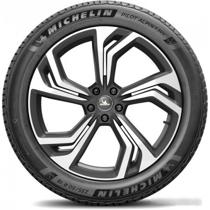 Michelin Pilot Alpin 5 SUV 255/45R21 106V