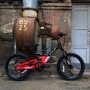 Stels Leader 250 MD 2024 (красный/черный)