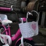 Stels Little Princess KC 16 V020 2024 (розовый)
