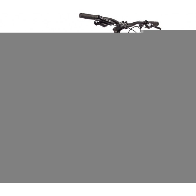 Stinger Reload Pro 29 р.20 2024 (черный)