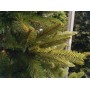 GreenTerra Натурелли 2.2 м