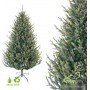 GreenTerra Этуаль 2.1 м