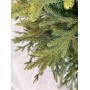 GreenTerra Этуаль 2.1 м