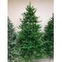 GreenTerra Хаген Премиум 2.4 м