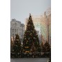 GreenTerra Клеопатра 5 м