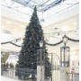 GreenTerra Клеопатра 5 м