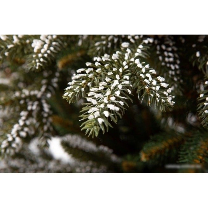 GreenTerra Квебек 1.8 м