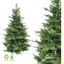 GreenTerra Милтон 2.4 м