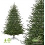 GreenTerra Вилтони 1.8 м