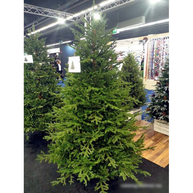 GreenTerra Вилтони 2.1 м