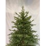 GreenTerra Вилтони 2.1 м