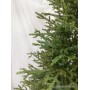 GreenTerra Вилтони 2.1 м