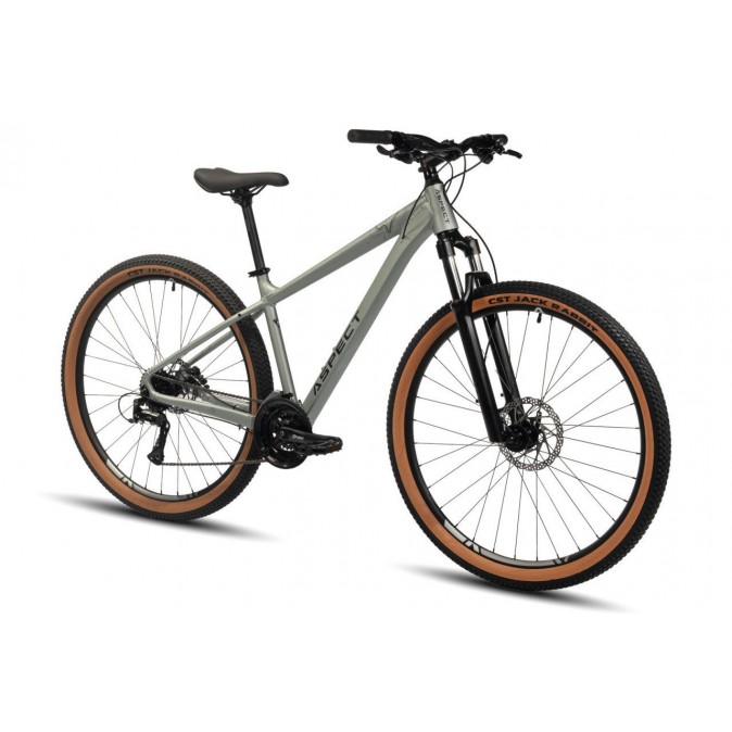 Aspect Legend 29 M 2024 (хаки)