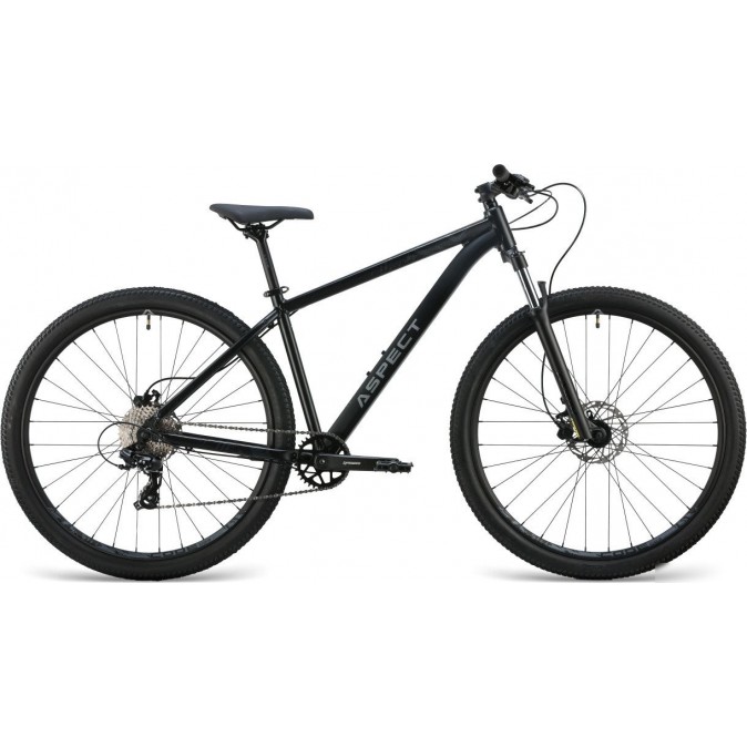 Aspect Radium Pro 29 р.20 2025 (черный)