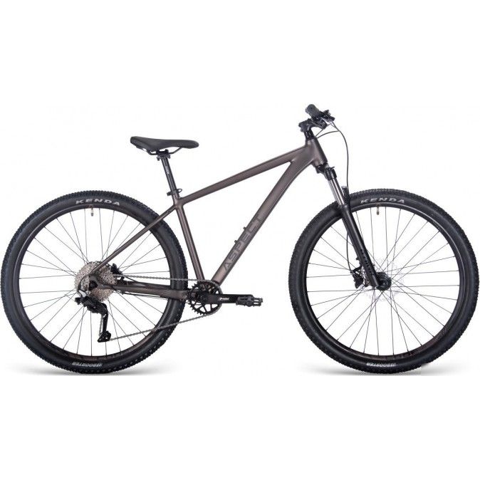 Aspect Cobalt 29 M 2025 (серый)