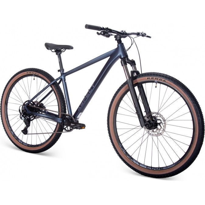 Aspect Cobalt Pro 29 M 2025 (синий)