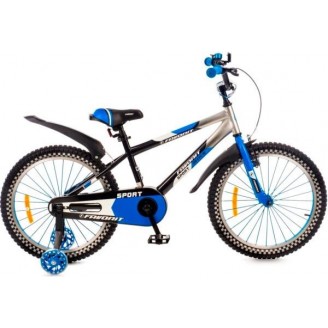 Детский велосипед Favorit Sport 20 SPT-20BL2 (черный/синий)