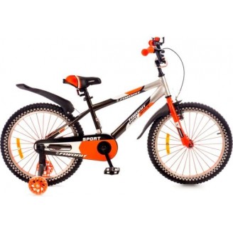 Детский велосипед Favorit Sport 20 SPT-20OR2 (черный/оранжевый)