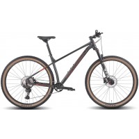 Велосипед Hagen 3.11 29 L 2025 (черный металлик)