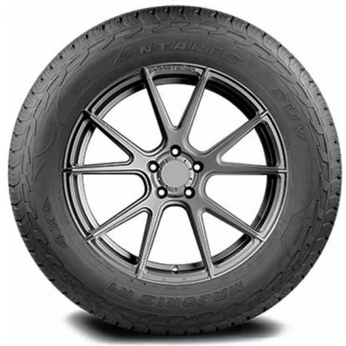Antares Majoris R1 275/45R22 112V