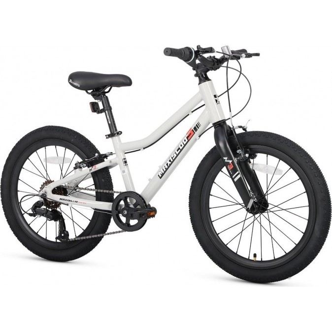 Maxiscoo 3bike 20 L 2025 MSC-M3-2003 (серый)