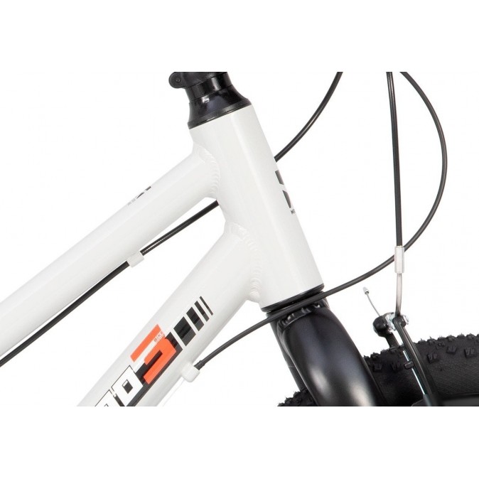 Maxiscoo 3bike 20 L 2025 MSC-M3-2003 (серый)