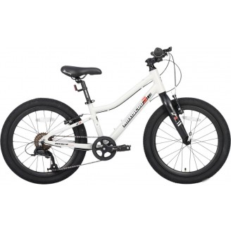 Детский велосипед Maxiscoo 3bike 20 L 2025 MSC-M3-2003 (серый, разобранный)