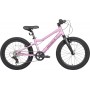 Maxiscoo 5bike 20 L200 2025 MSC-M5-2013 (розовый сапфир, разобранный)