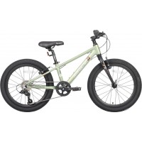 Детский велосипед Maxiscoo 5bike 20 M200 2025 MSC-M5-2011 (хаки, разобранный)
