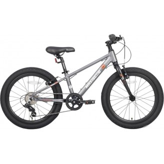 Детский велосипед Maxiscoo 5bike 20 M200 2025 MSC-M5-2012 (графит)