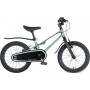 Maxiscoo Shark Sport 16 2025 MSC-SH1641 (графит, разобранный)