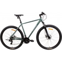 Велосипед Kayama Neo 29 р.21 2025 (серый)