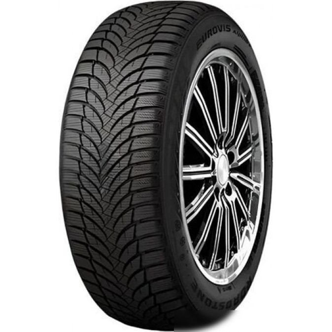 Roadstone Eurovis Alpine 2 195/55R16 87T