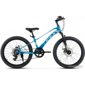 Детский велосипед Stels Leader 220 MD 2024 (синий) Детский велосипед Stels Leader 220 MD 2024 (синий)