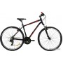 AIST Cross 1.0 р.19 2021