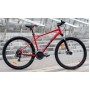 GT Aggressor Sport 29 S 2025 (красный)