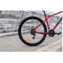 GT Aggressor Sport 29 S 2025 (красный)
