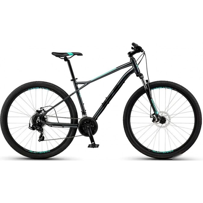 GT Aggressor Sport 29 S 2025 (серый)