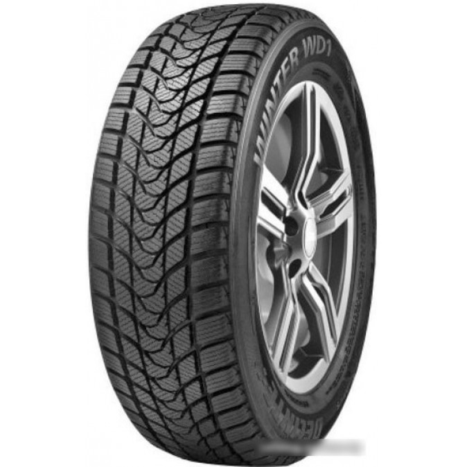 Delinte Winter WD1 245/40R18 93T