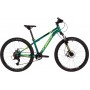 Foxx Caiman JR 24 2025 (зеленый)