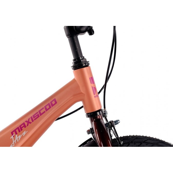 Maxiscoo Jazz Стандарт Плюс 14 2025 MSC-J1441 (пудра)