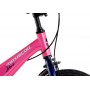 Maxiscoo Jazz Стандарт Плюс 14 2025 MSC-J1442 (розовый сапфир, разобранный)