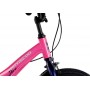 Maxiscoo Jazz Стандарт Плюс 16 2025 MSC-J1642 (розовый сапфир, разобранный)