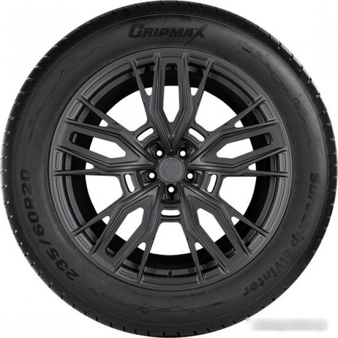 Gripmax SureGrip eWinter 235/60R20 108H