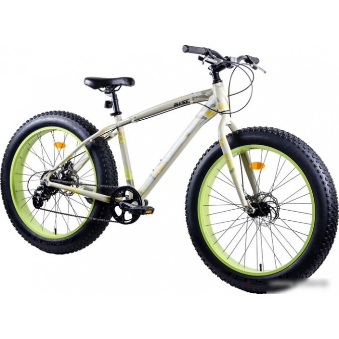 AIST FBS (2019)