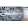 Pace Antarctica Ice 215/55R17 94T (шипы)